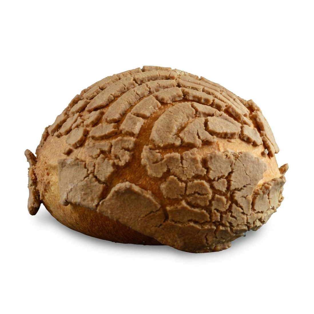 Concha de Chocolate